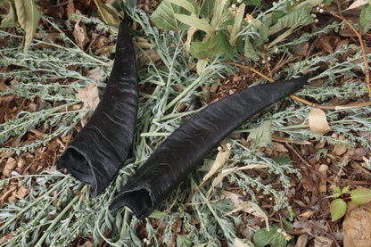 Goat Horns - Pair