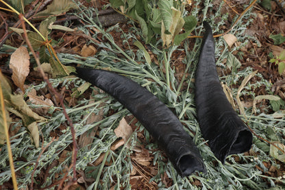 Goat Horns - Pair