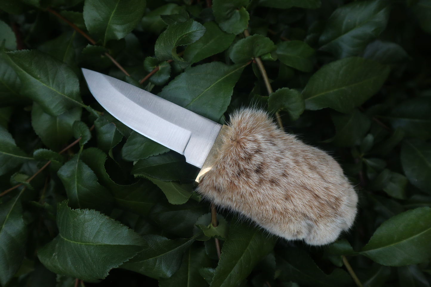Bobcat Paw Knife