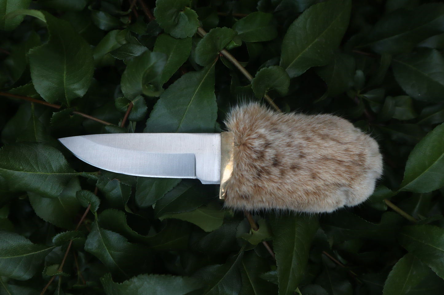 Bobcat Paw Knife