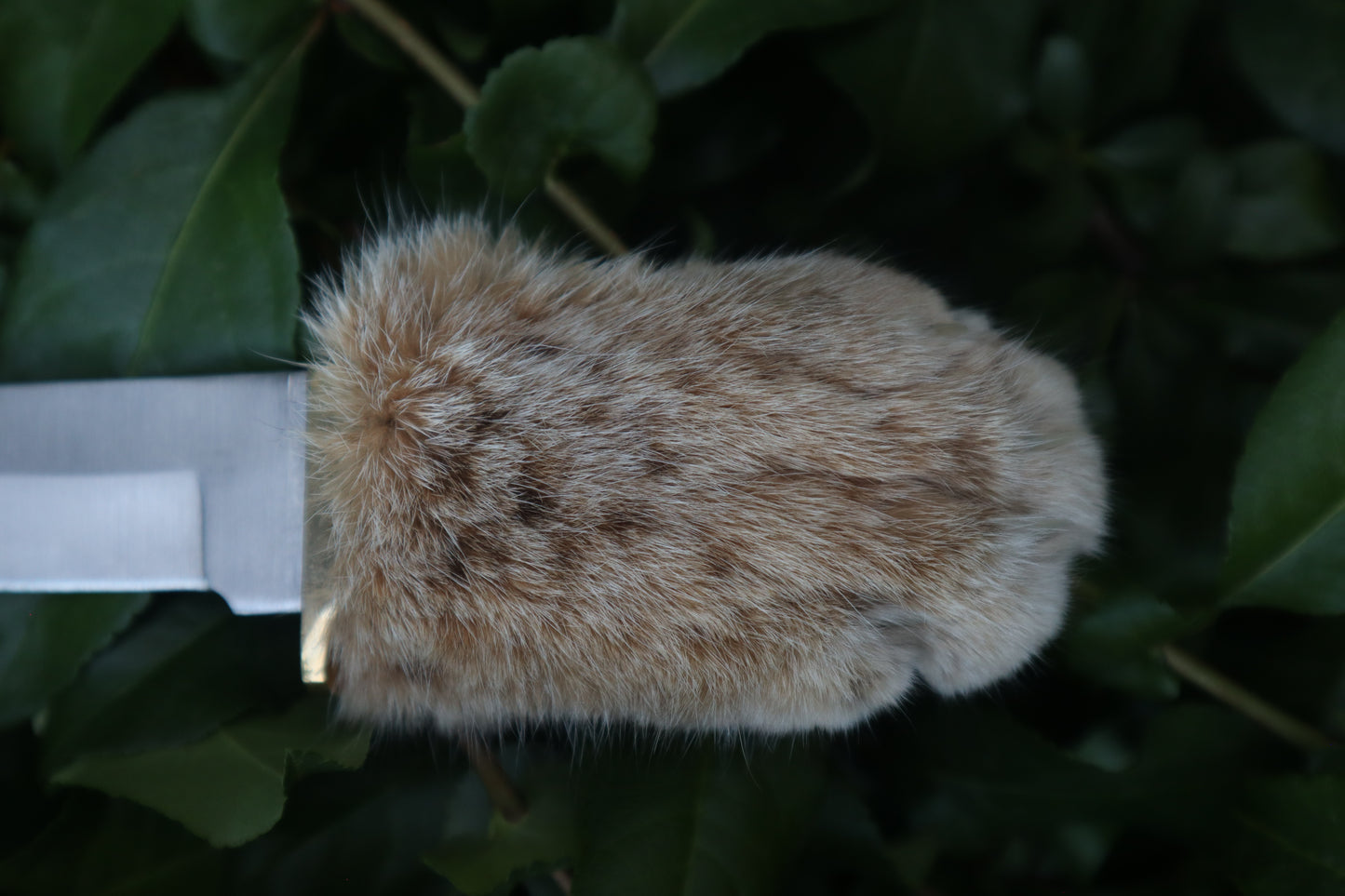 Bobcat Paw Knife