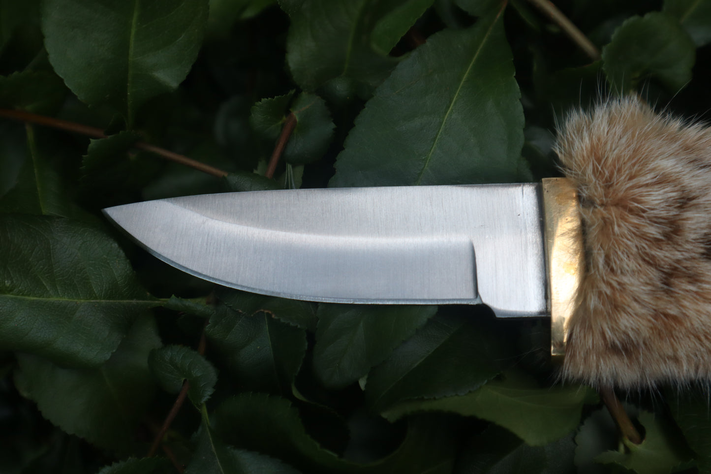 Bobcat Paw Knife