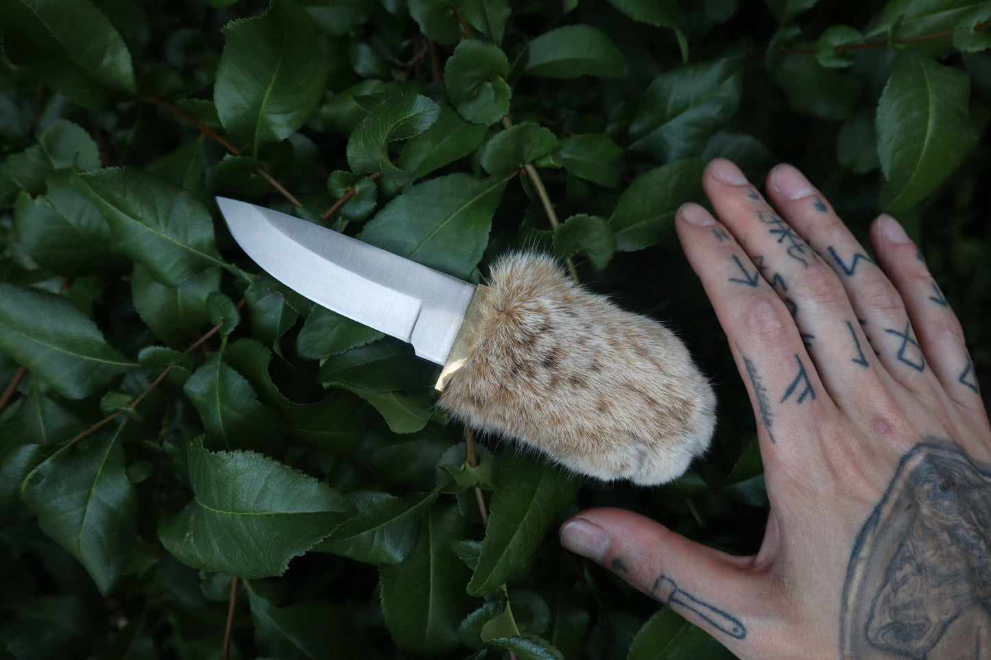 Bobcat Paw Knife