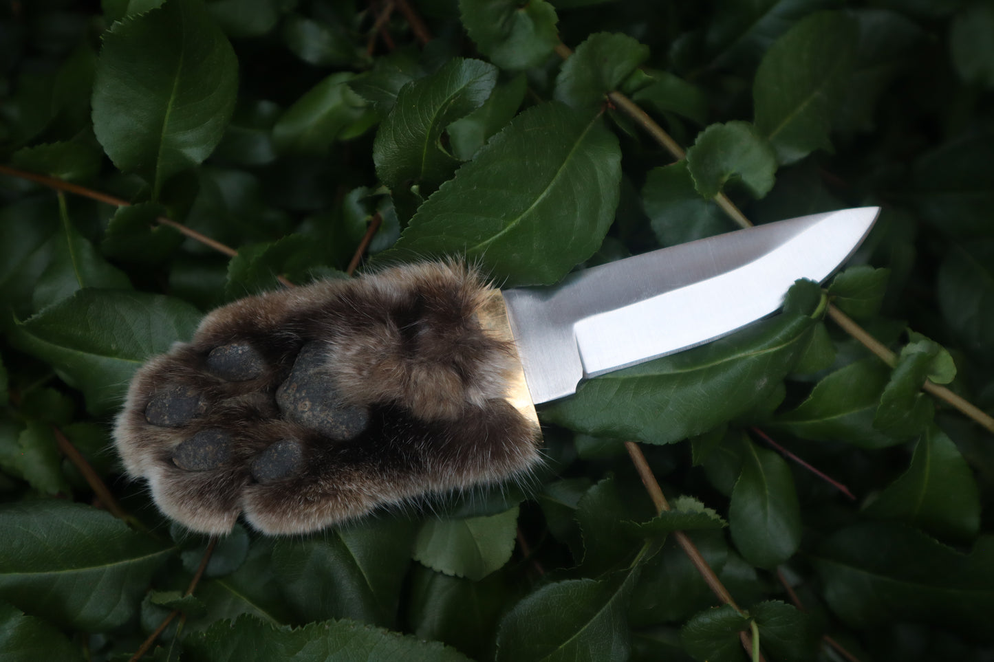 Bobcat Paw Knife
