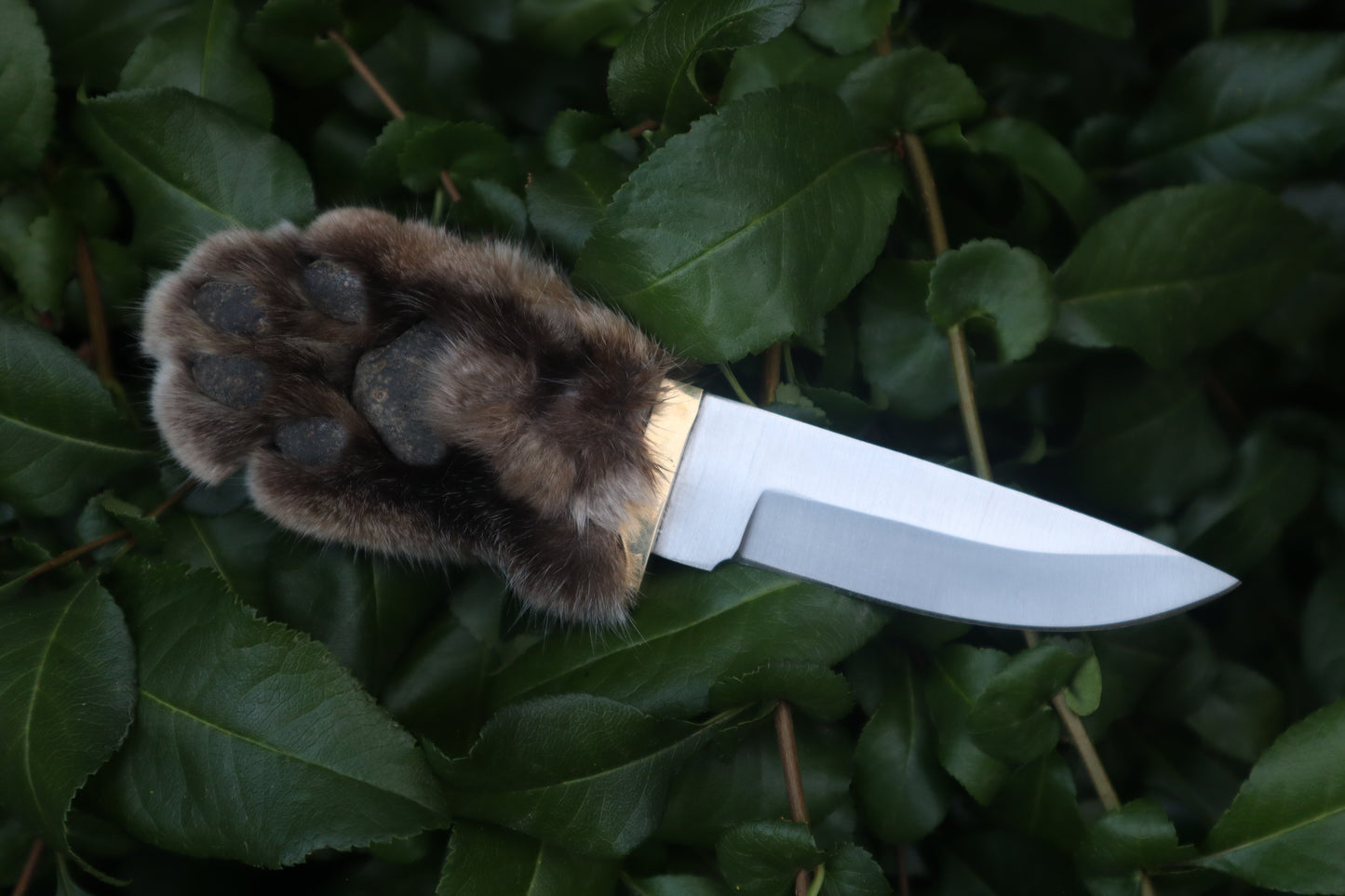 Bobcat Paw Knife