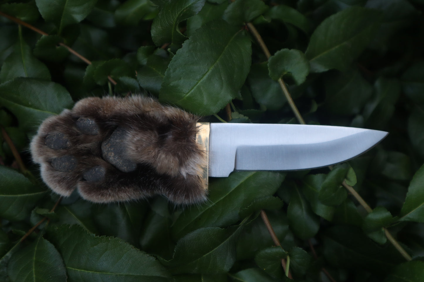 Bobcat Paw Knife