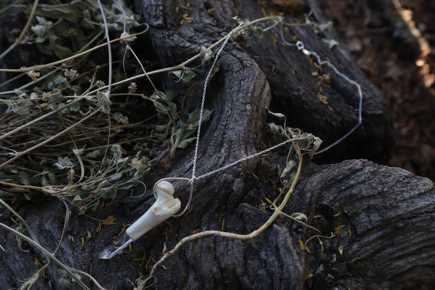 Kitten Femur Quartz Point Necklace