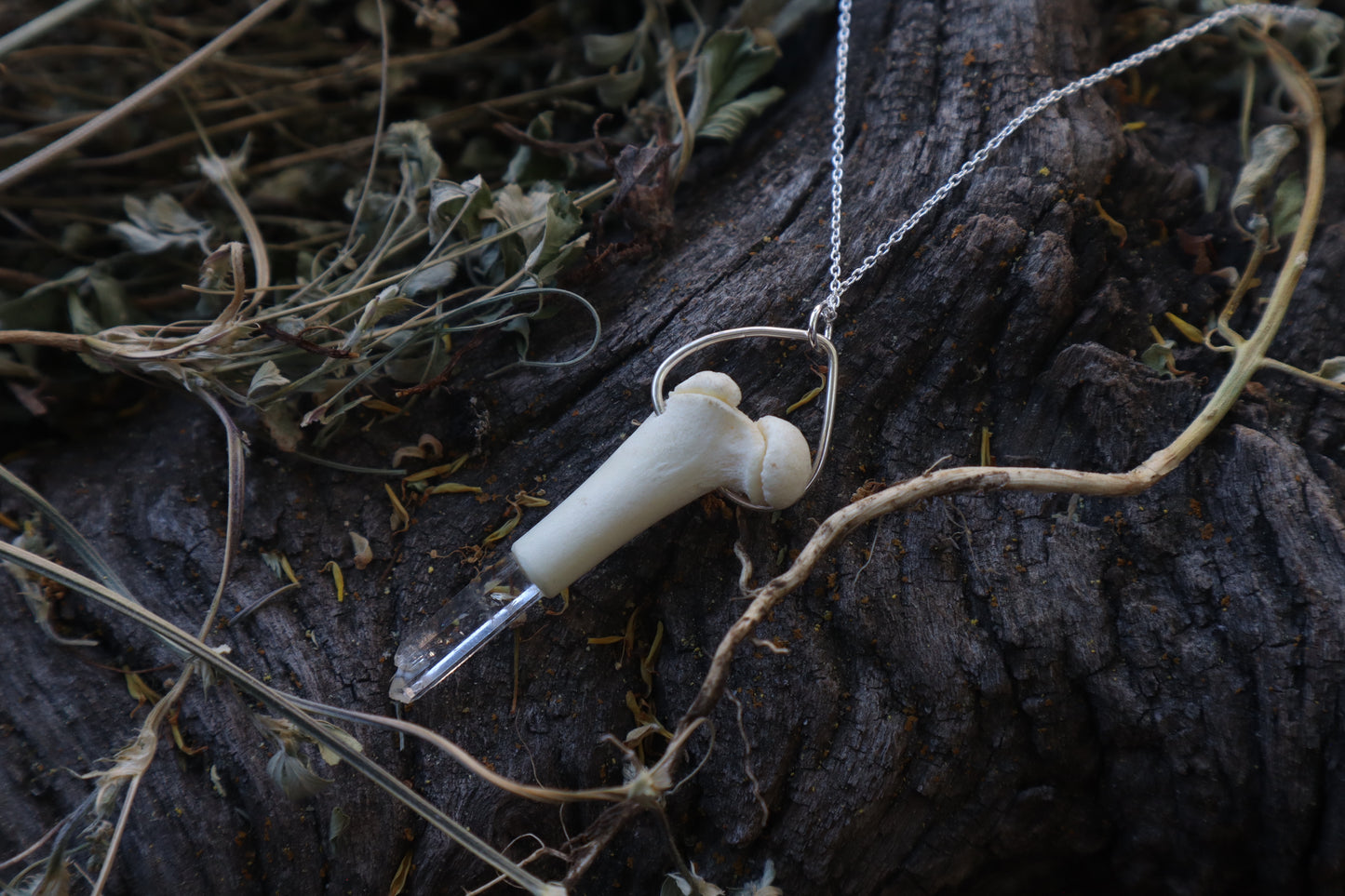Kitten Femur Quartz Point Necklace
