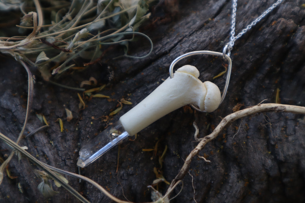 Kitten Femur Quartz Point Necklace
