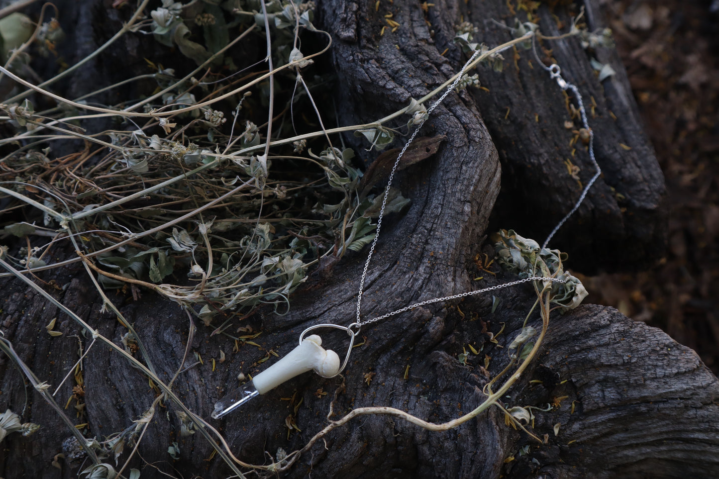 Kitten Femur Quartz Point Necklace