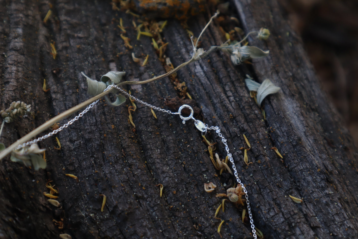 Kitten Femur Quartz Point Necklace