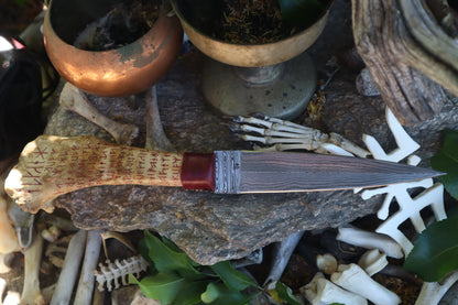Blade of the Triprosôpos