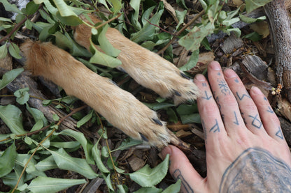 Coyote Paws - Natural Pair