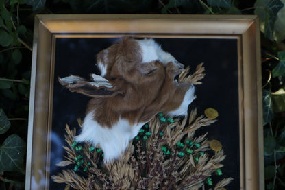 Golden Harvest Goat