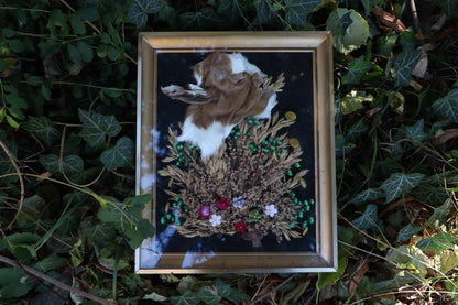 Golden Harvest Goat
