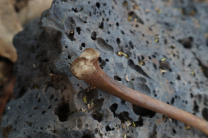 Red Fox Bone Calligraphy Pen