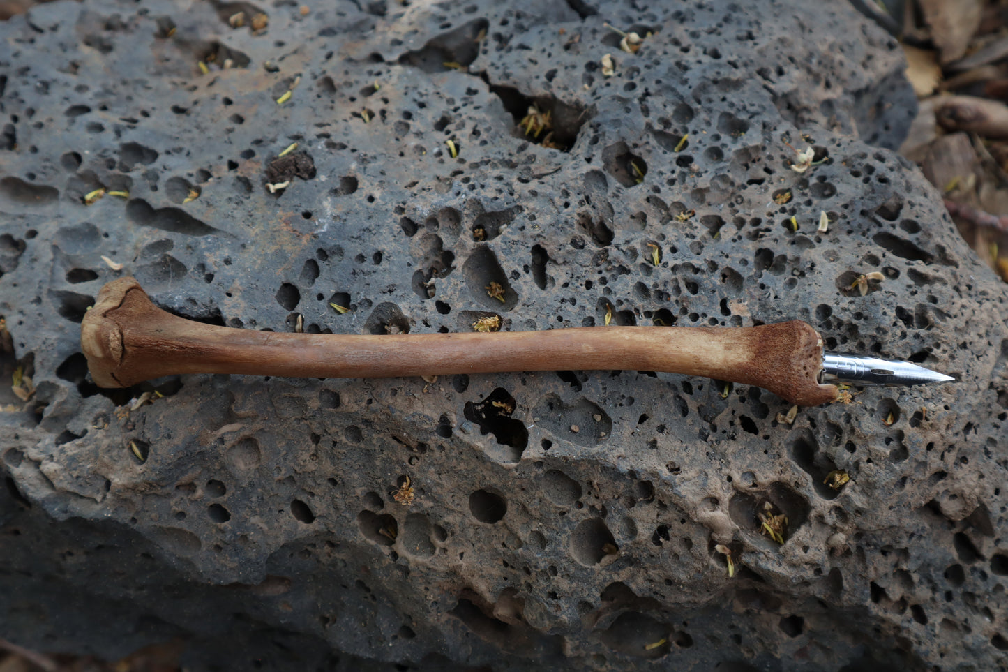 Red Fox Bone Calligraphy Pen
