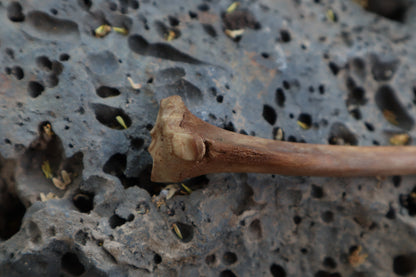 Red Fox Bone Calligraphy Pen
