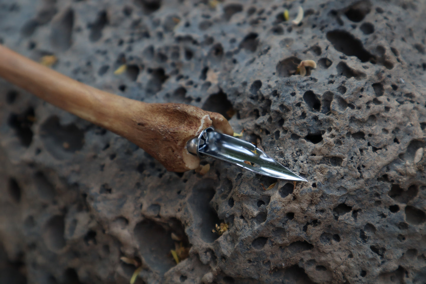 Red Fox Bone Calligraphy Pen