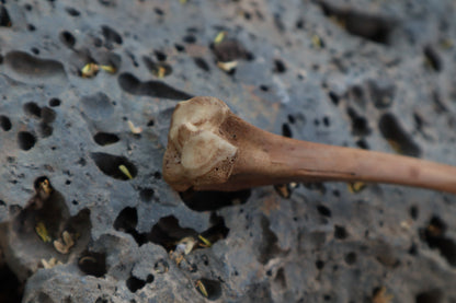 Red Fox Bone Calligraphy Pen
