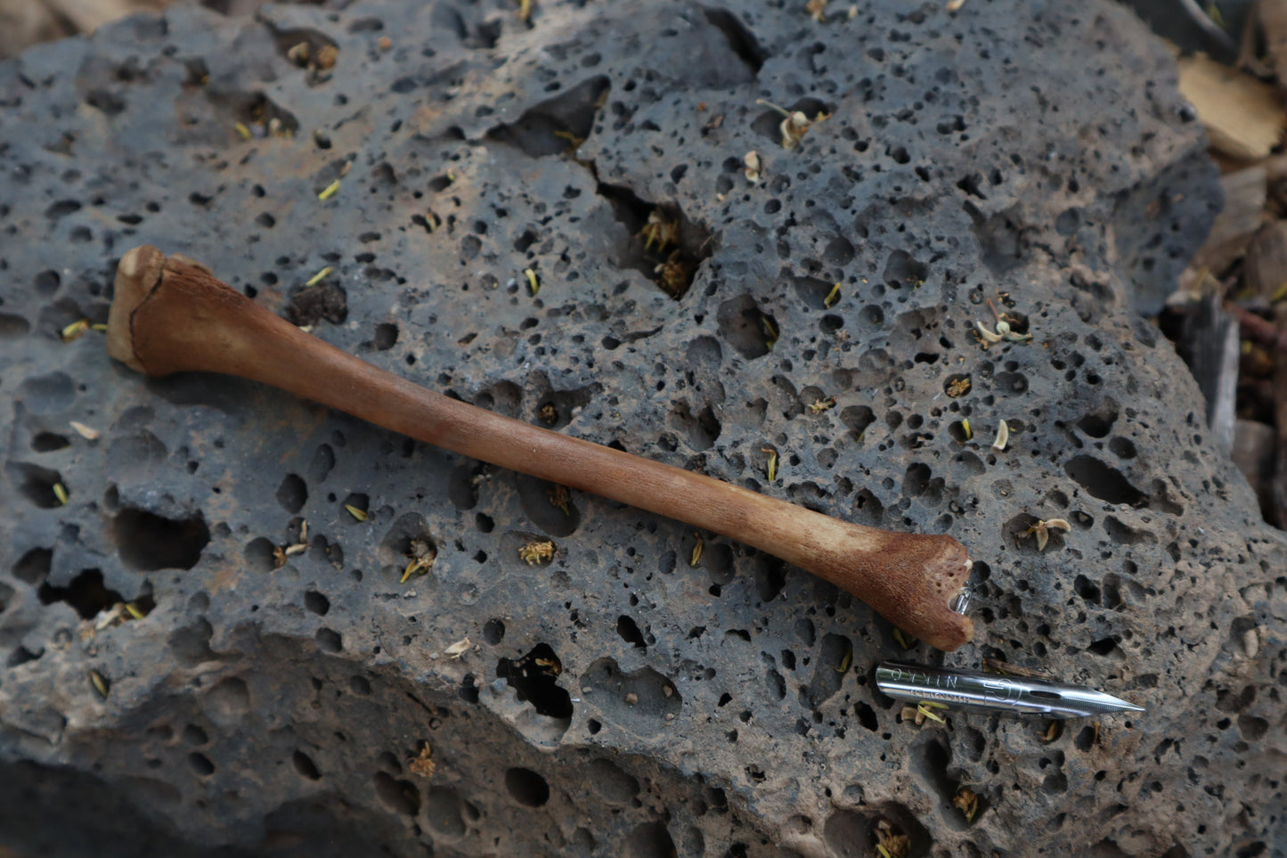 Red Fox Bone Calligraphy Pen