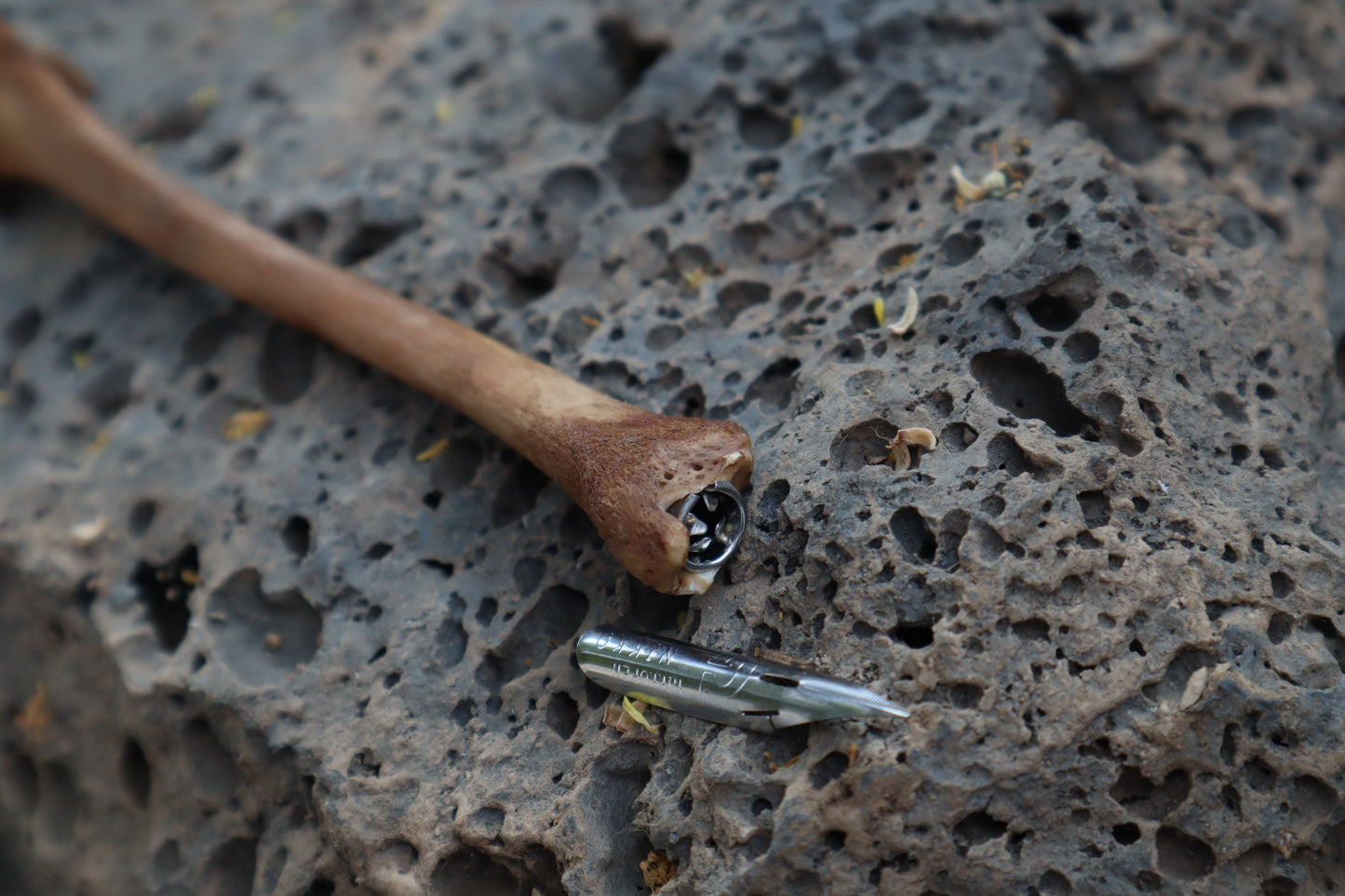 Red Fox Bone Calligraphy Pen