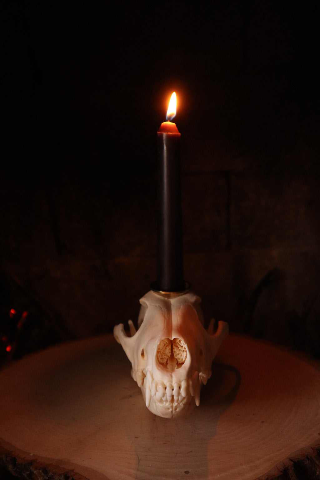 Coyote Skull Candle Holder