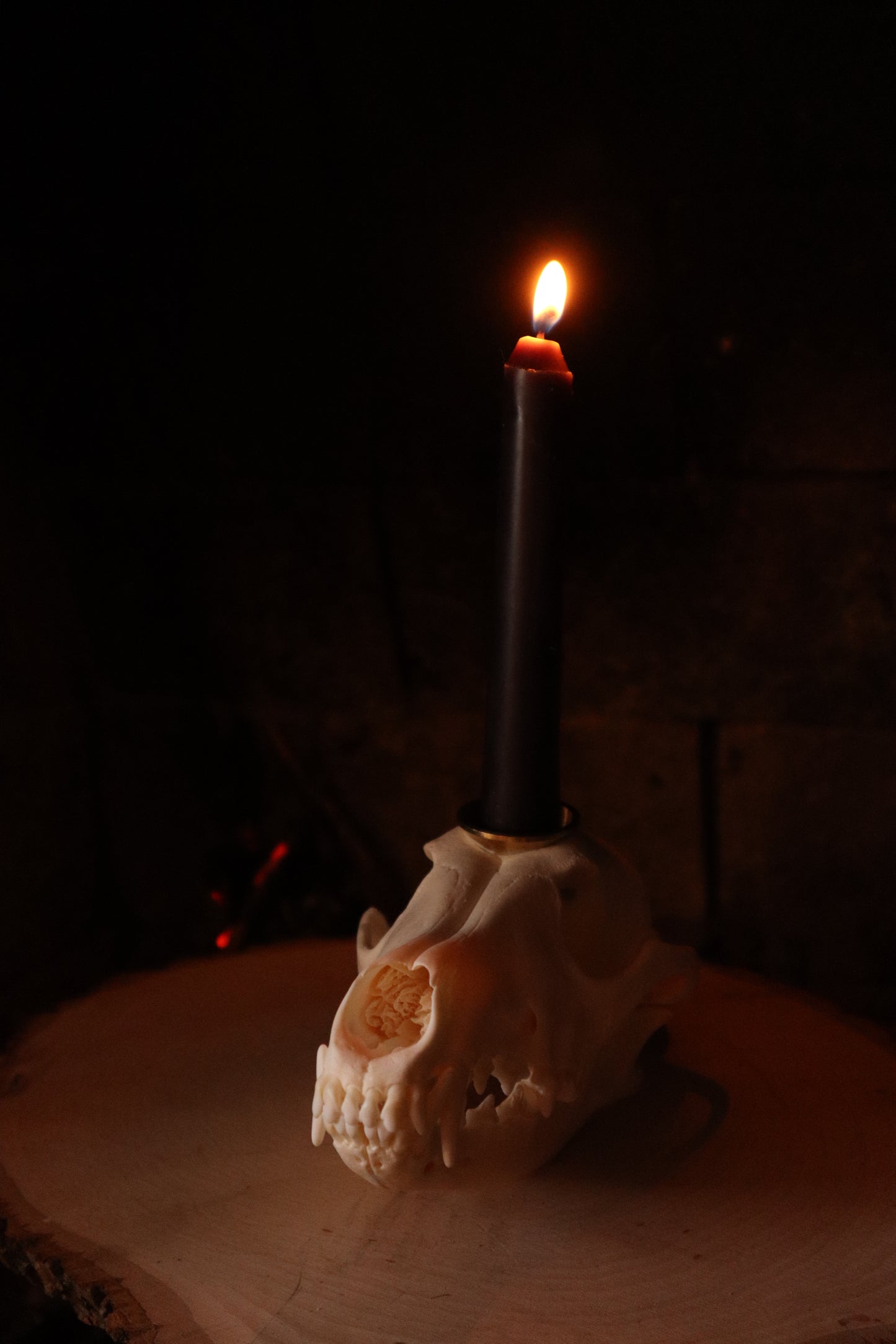 Coyote Skull Candle Holder