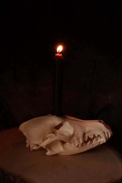 Coyote Skull Candle Holder