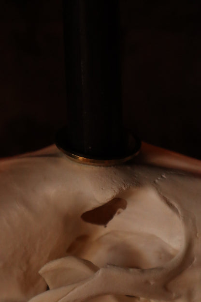 Coyote Skull Candle Holder