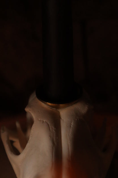 Coyote Skull Candle Holder