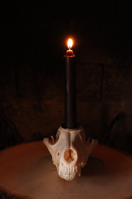 Coyote Skull Candle Holder