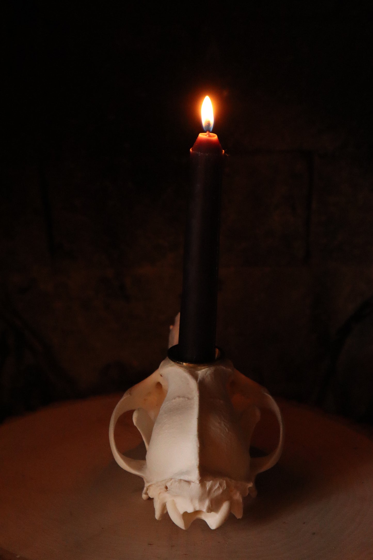Coyote Skull Candle Holder