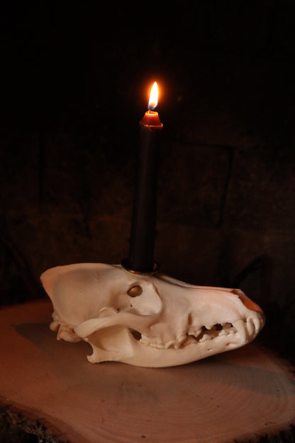 Coyote Skull Candle Holder