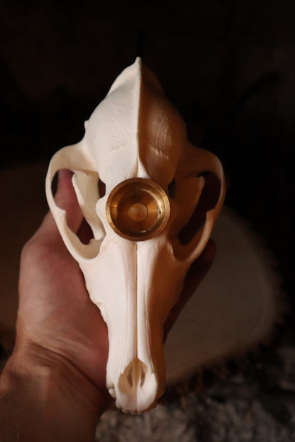 Coyote Skull Candle Holder