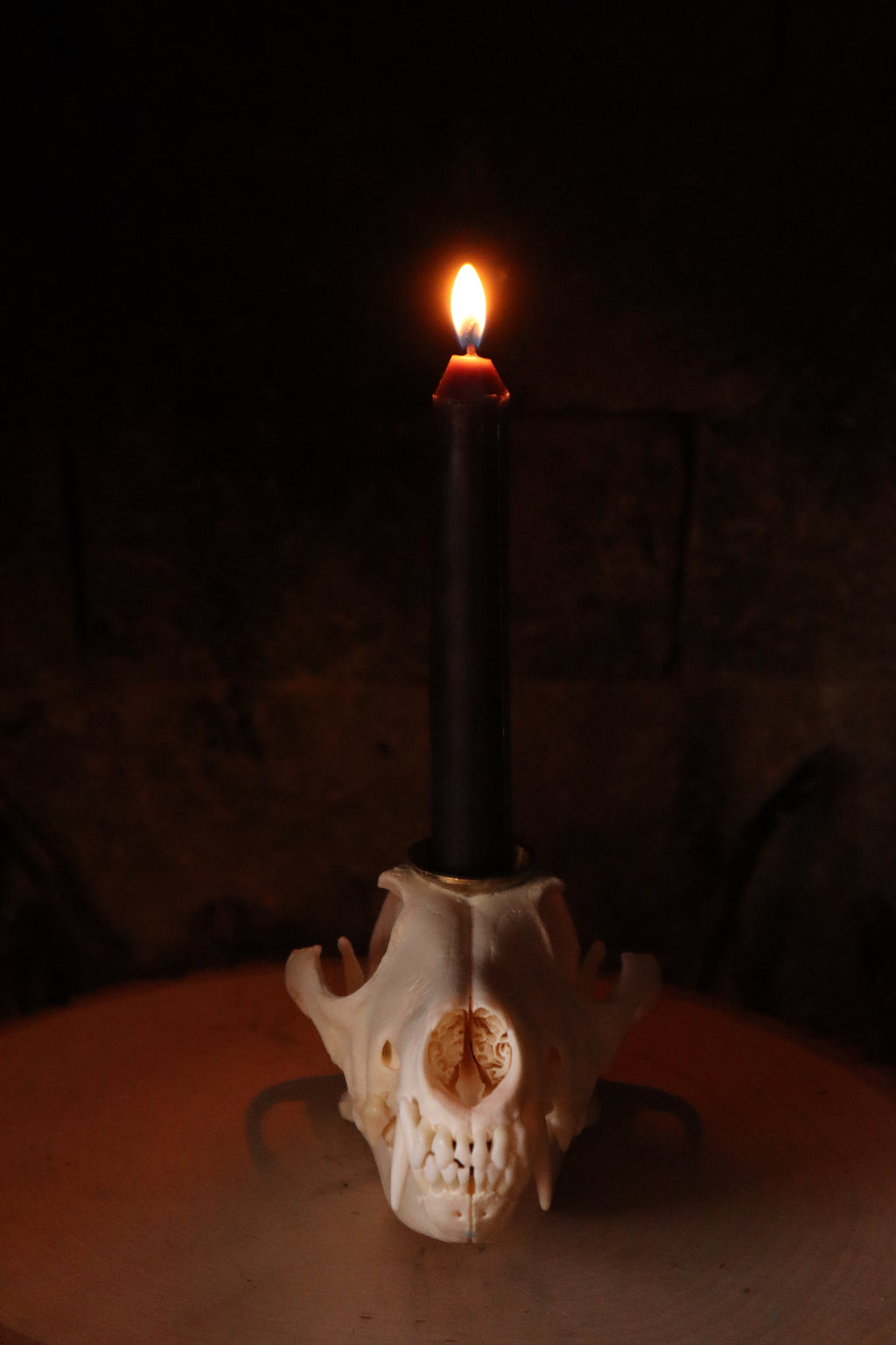 Coyote Skull Candle Holder