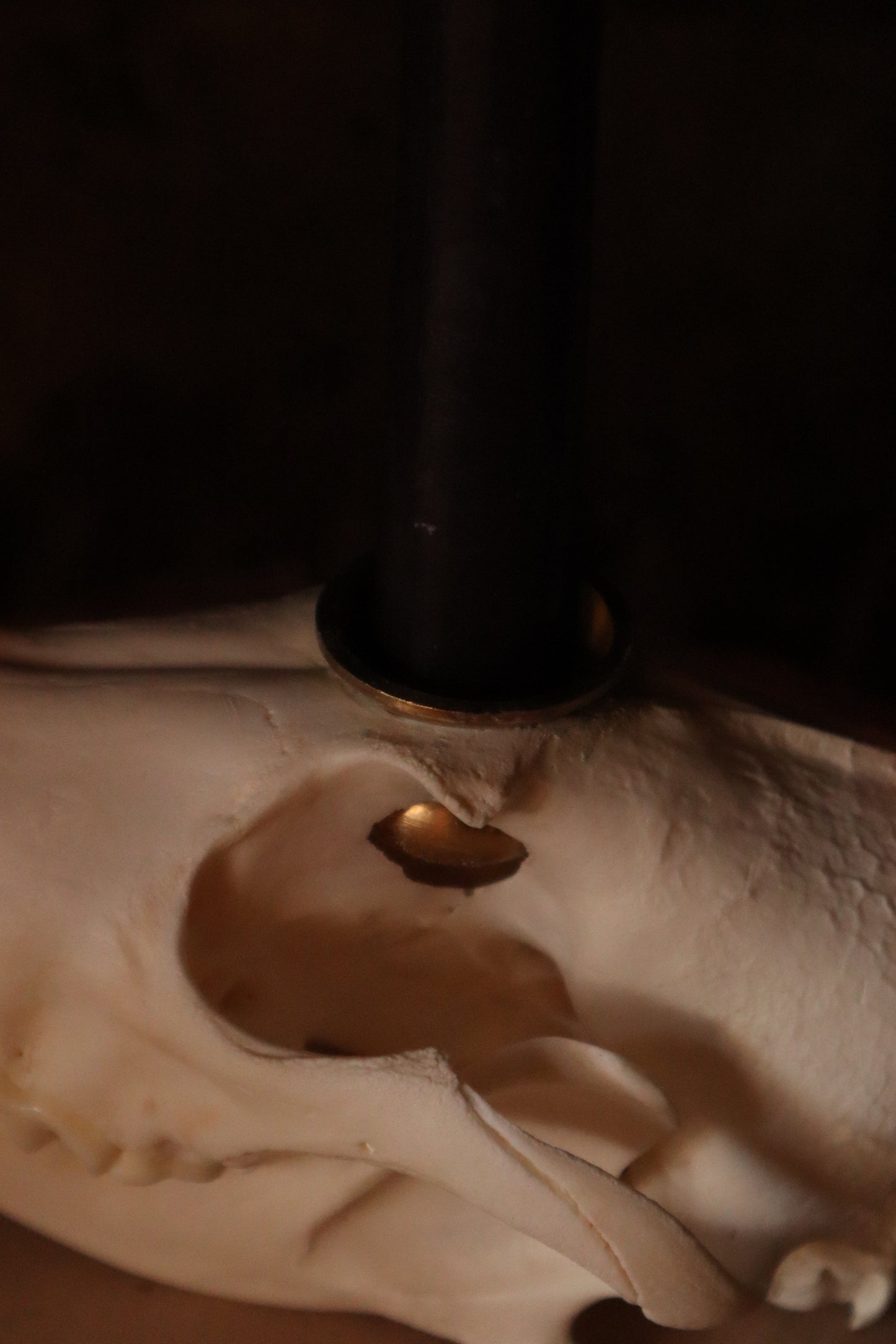 Coyote Skull Candle Holder
