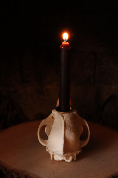 Coyote Skull Candle Holder