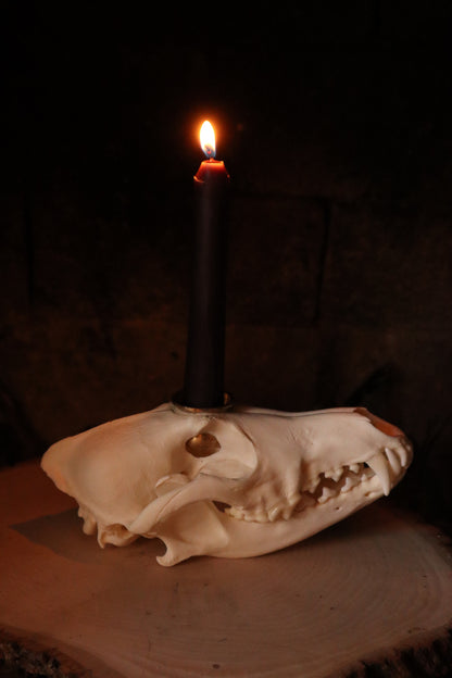 Coyote Skull Candle Holder
