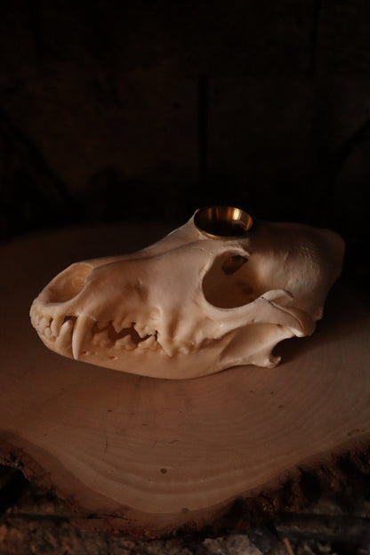 Coyote Skull Candle Holder