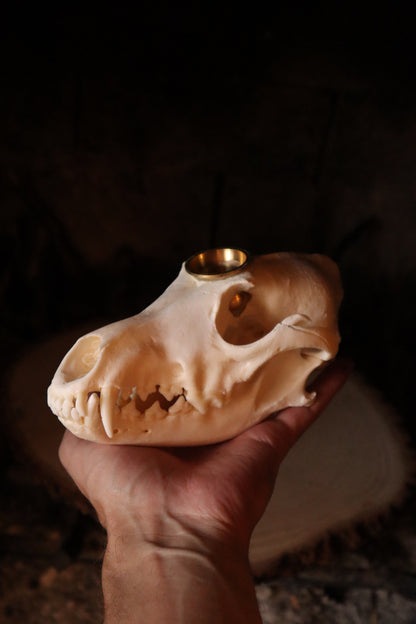 Coyote Skull Candle Holder