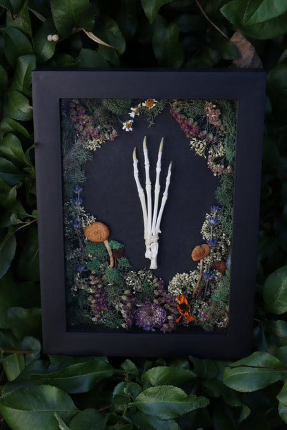 Reserved for Mary - Lucky Rabbit Paw Display