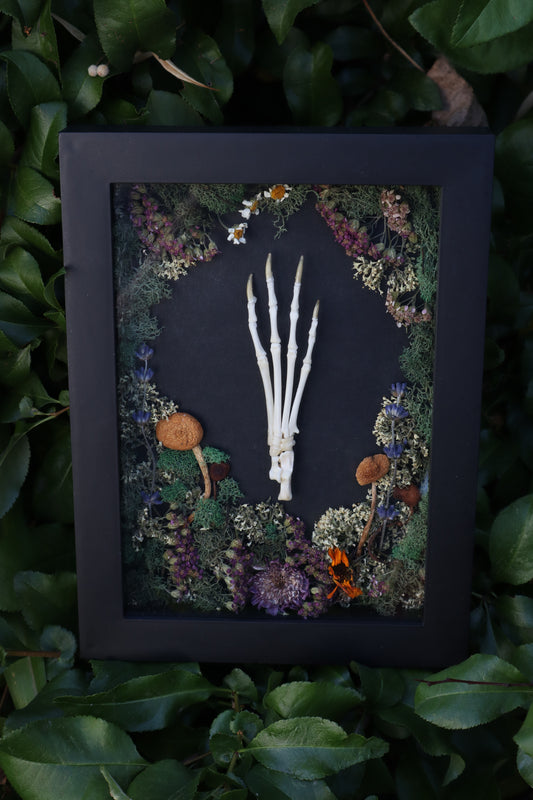 Reserved for Mary - Lucky Rabbit Paw Display