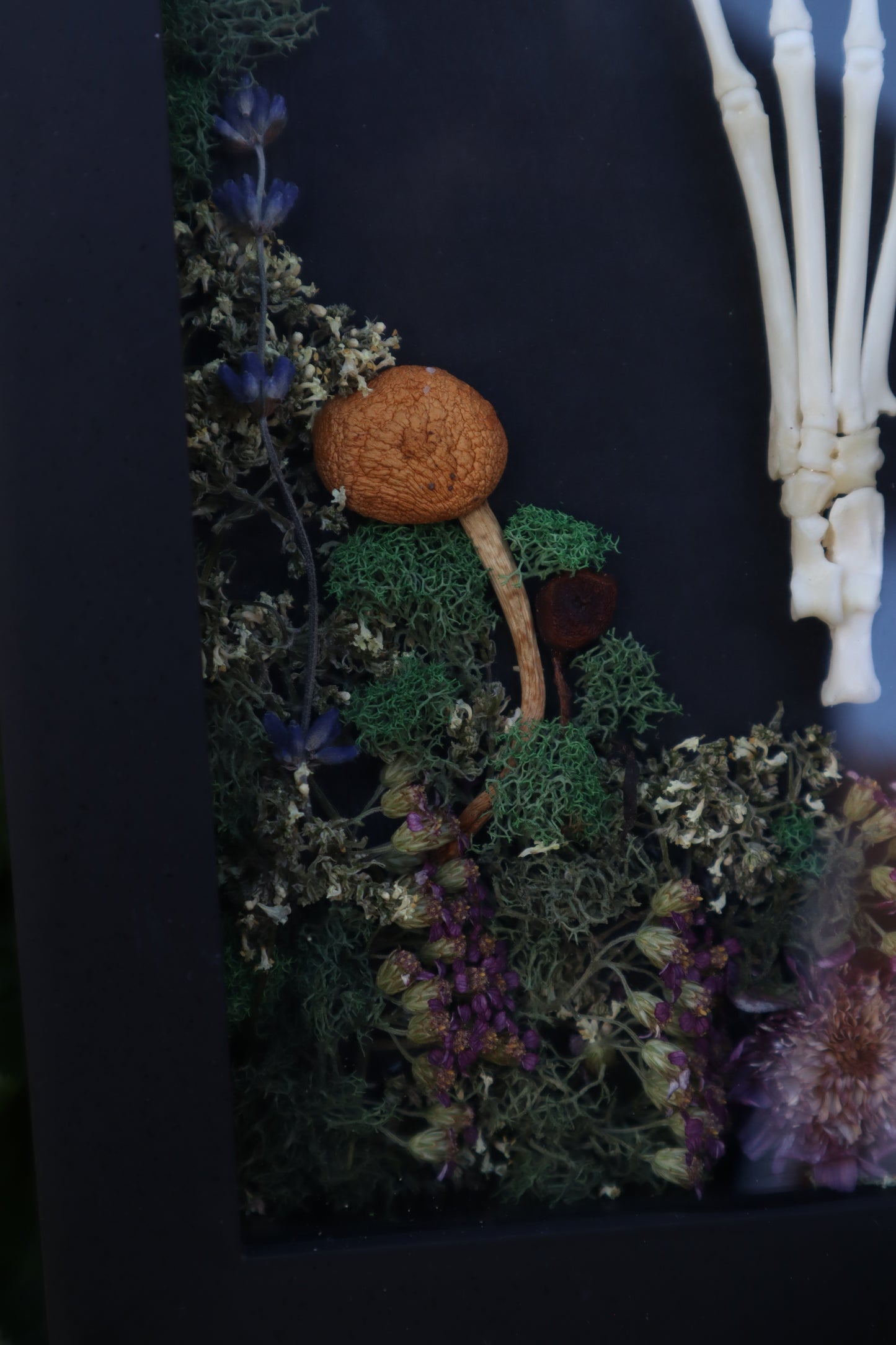 Reserved for Mary - Lucky Rabbit Paw Display