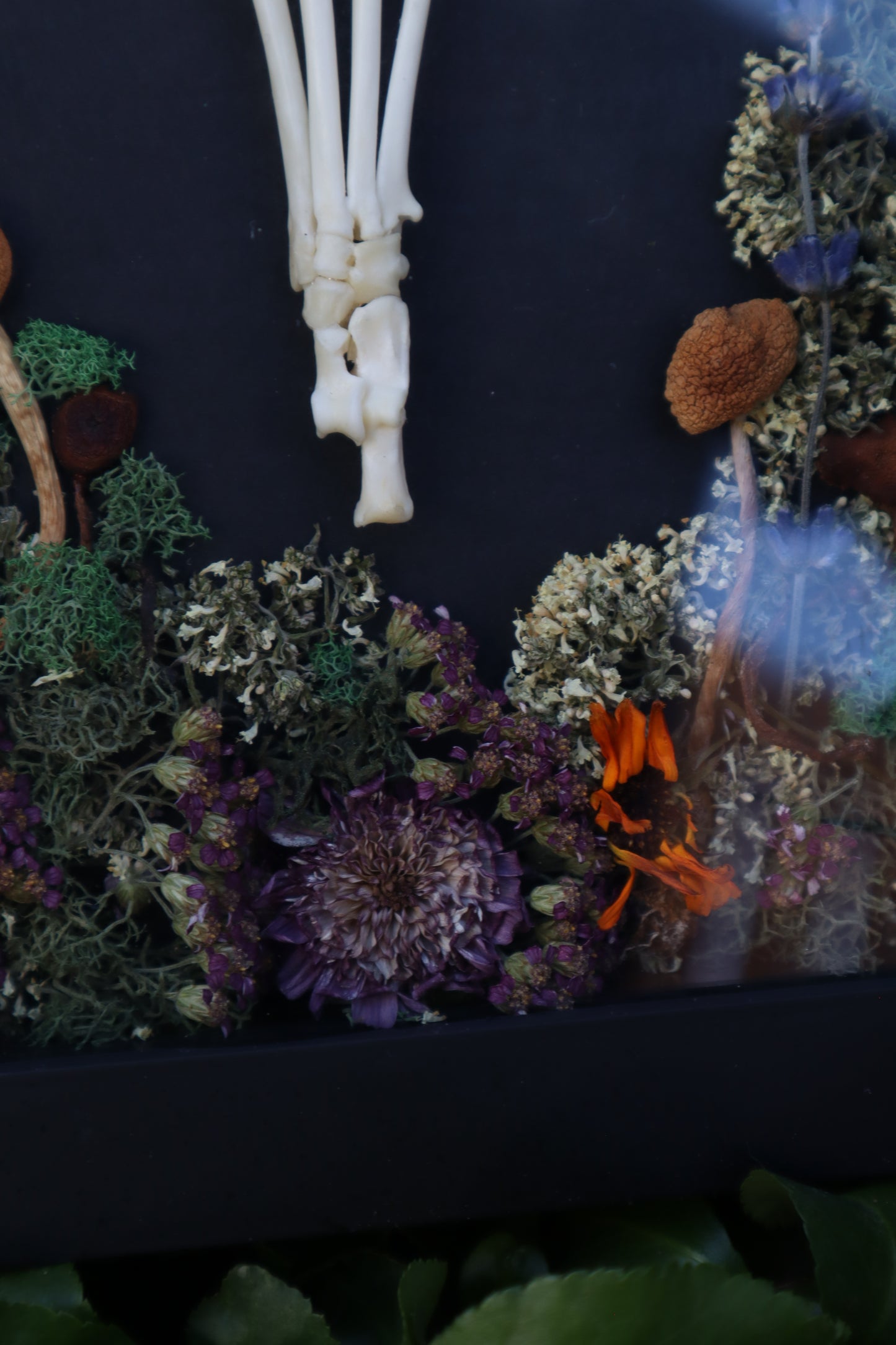 Reserved for Mary - Lucky Rabbit Paw Display