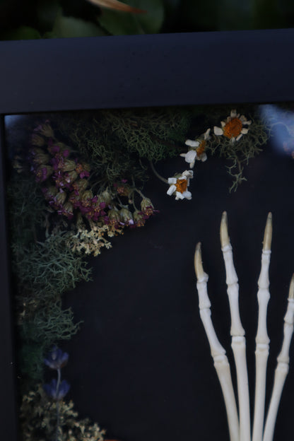 Reserved for Mary - Lucky Rabbit Paw Display