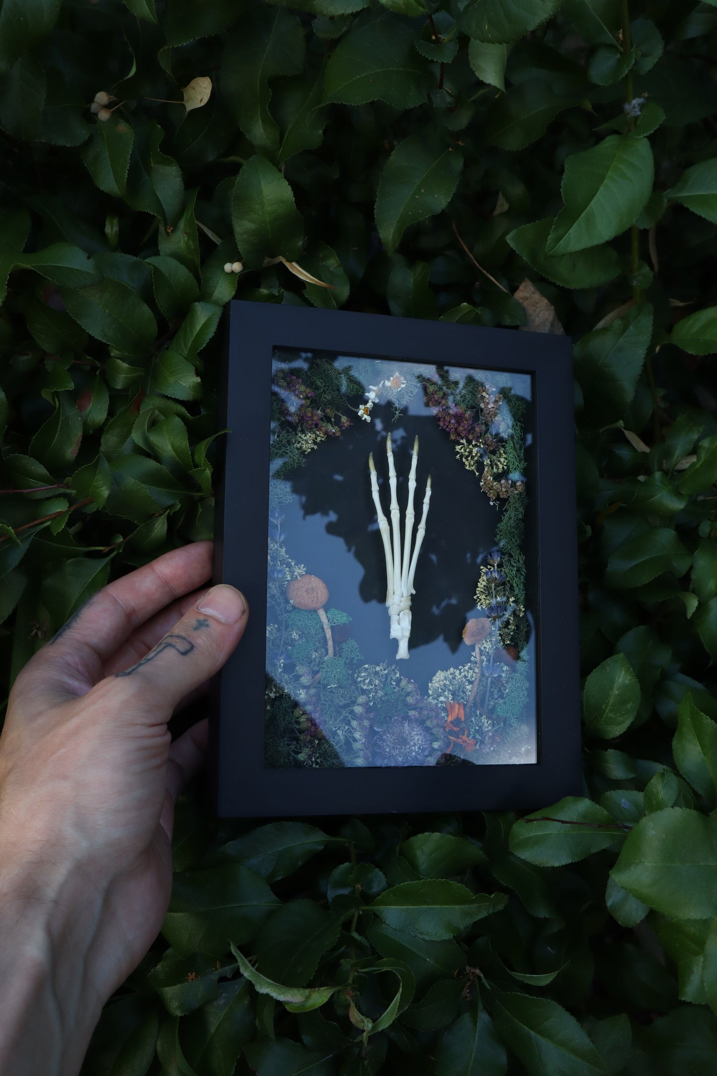 Reserved for Mary - Lucky Rabbit Paw Display