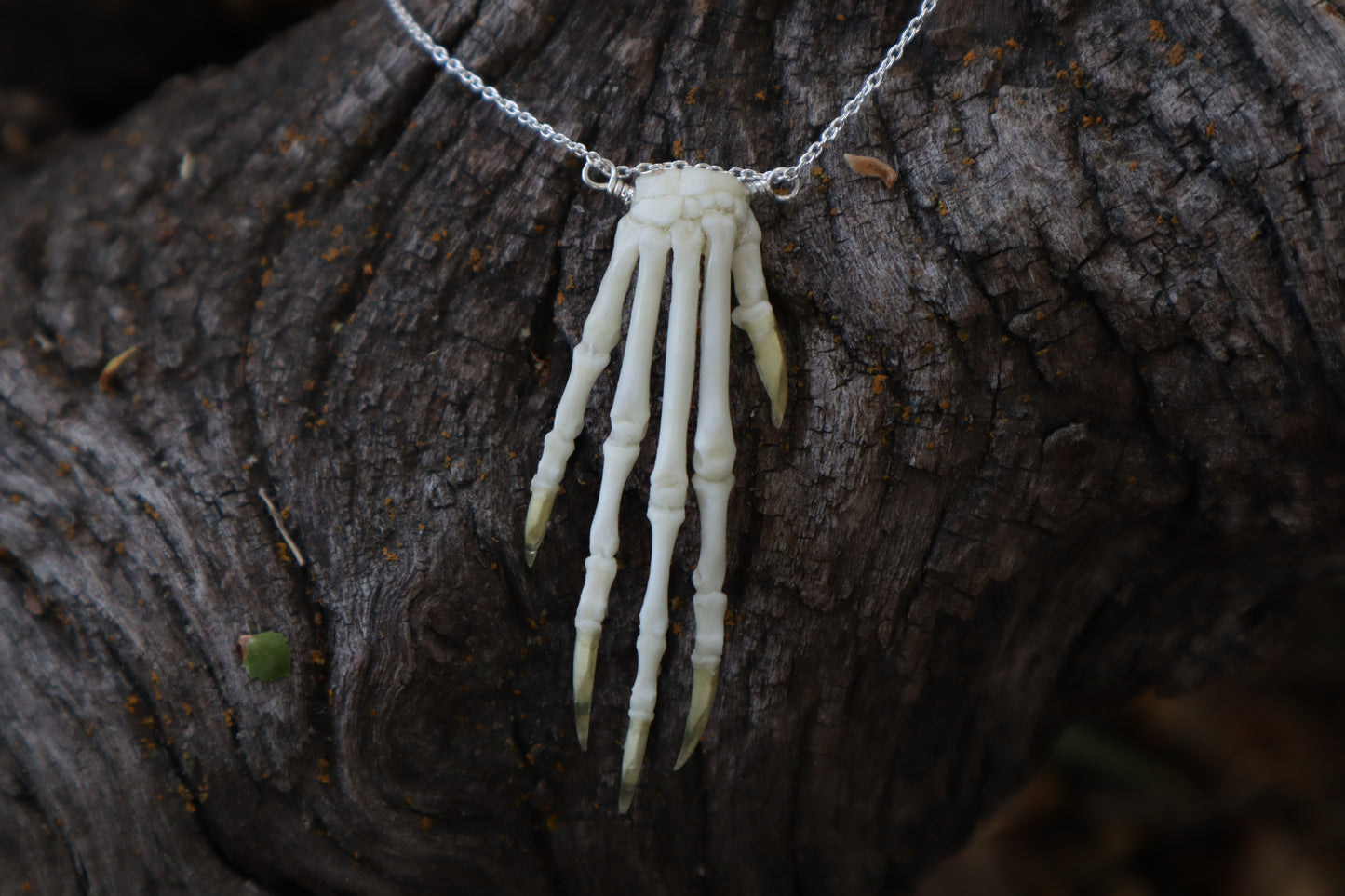 Lucky Rabbit Paw Necklace