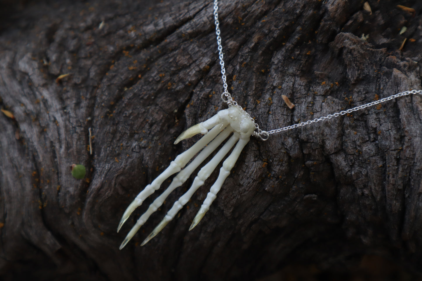 Lucky Rabbit Paw Necklace