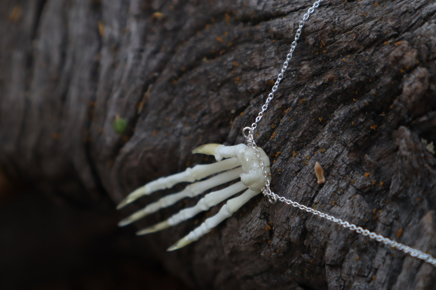 Lucky Rabbit Paw Necklace